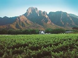 Wemmershoek旅游攻略图片