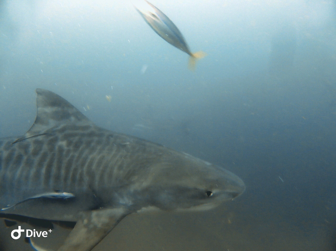 African Watersports-Umkomaas必去景点