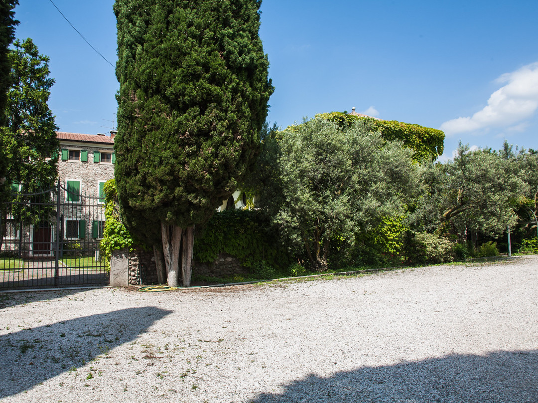 Ca Dei Colli Winery景点图片