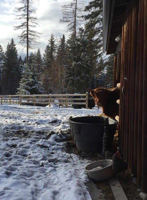 The Bailey's Bed 'n Bale主图