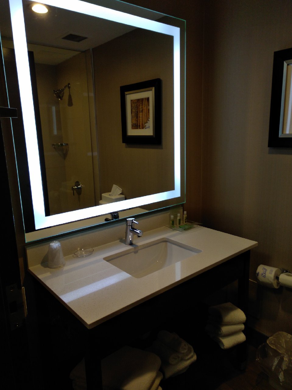 Holiday Inn Sudbury By IHG-浴室