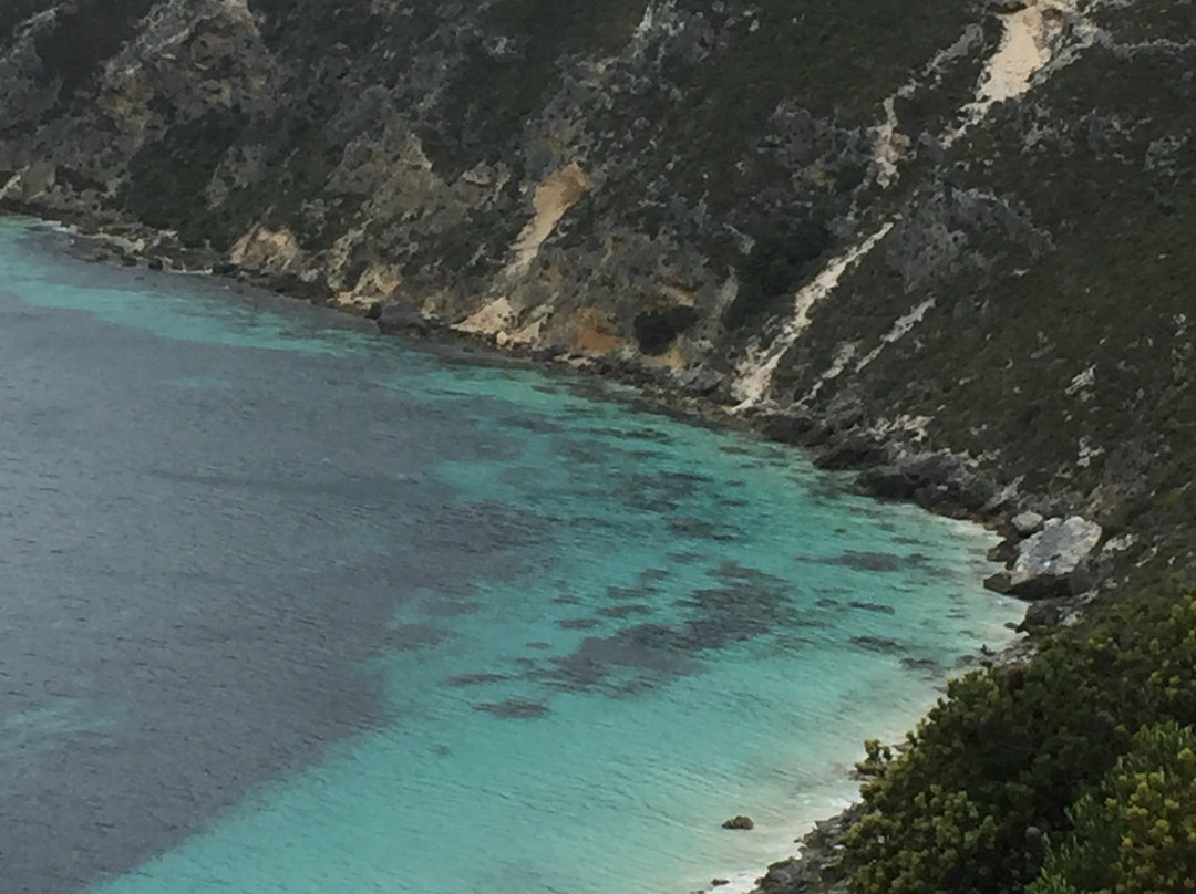 Bald Head Walk Trail-奥尔巴尼必去景点