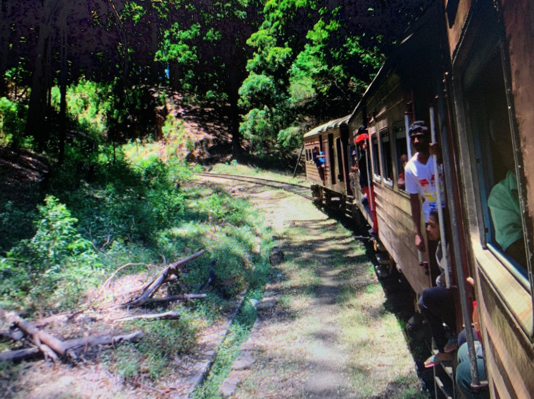 Sri Lanka Amal Tours-品纳维拉必去景点