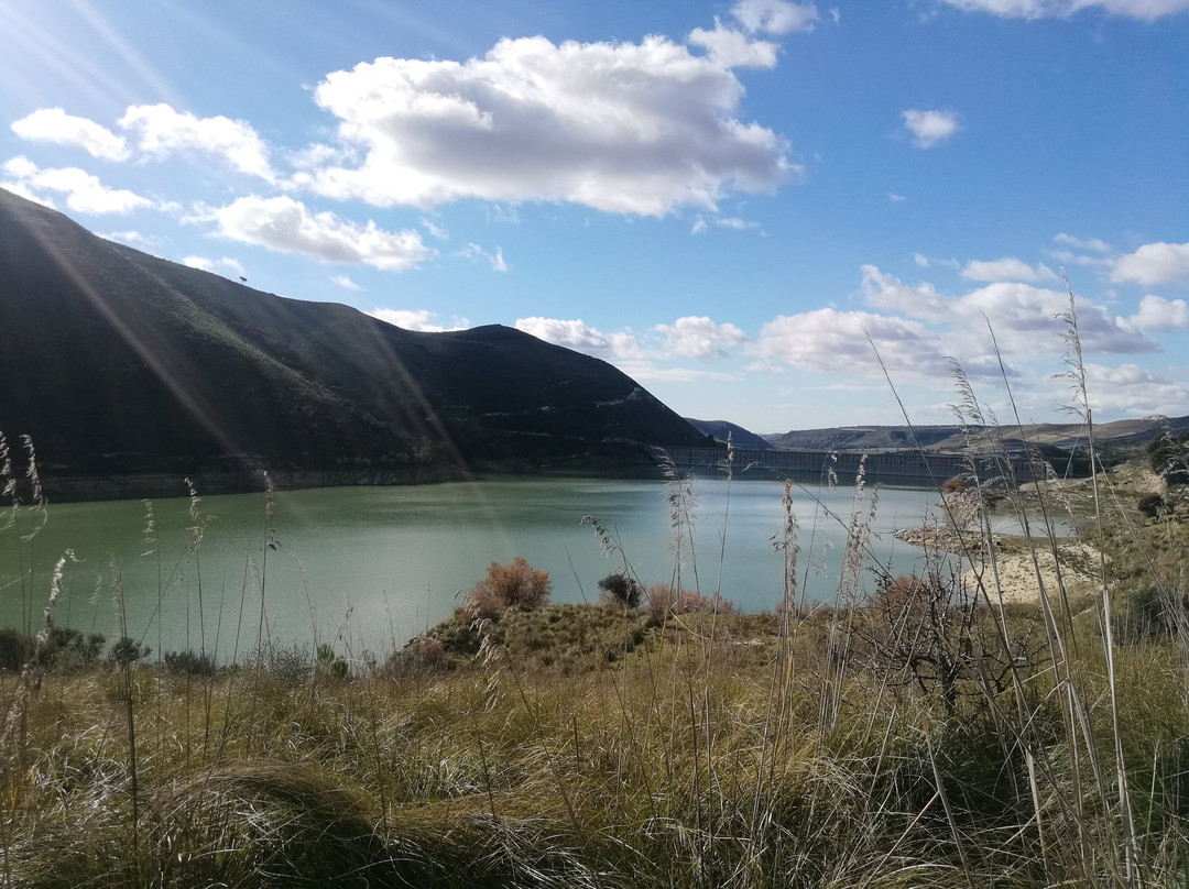 Lago di Licodia Invaso Dirillo景点图片