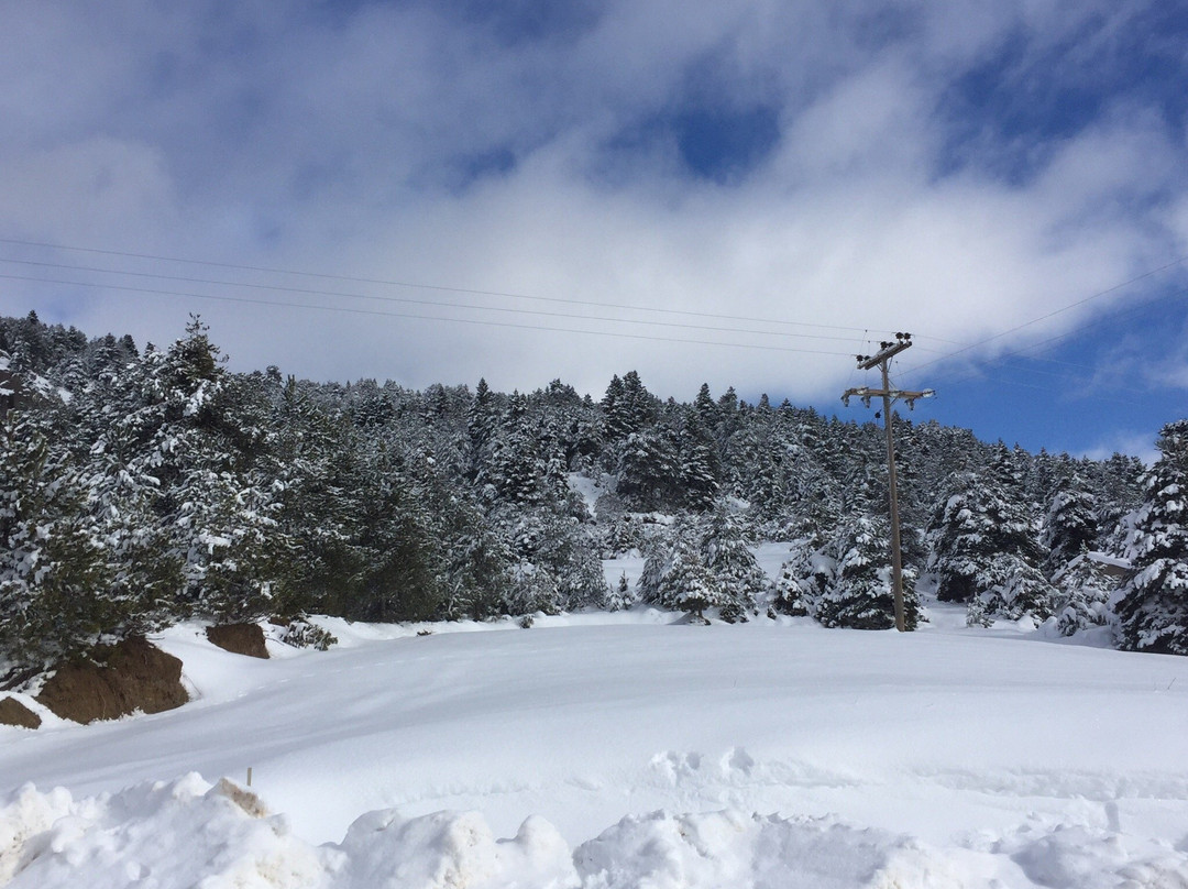 Karyatis Resort主图