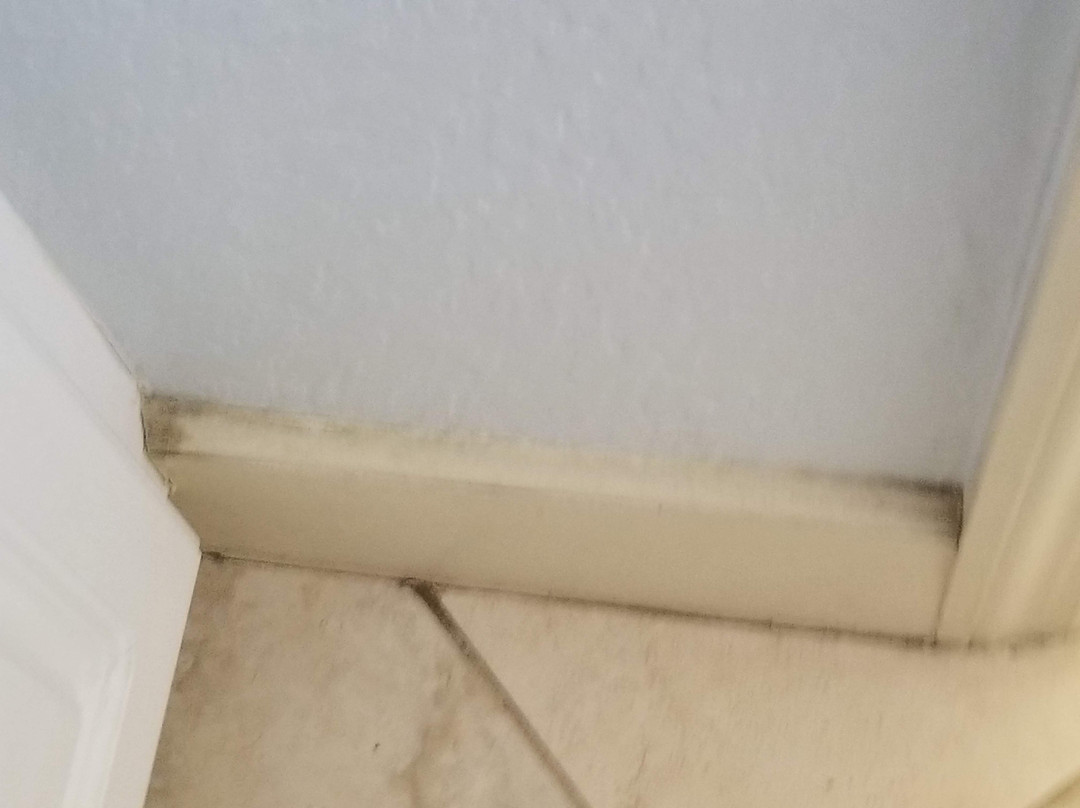 Anna Maria Island Dream Inn主图