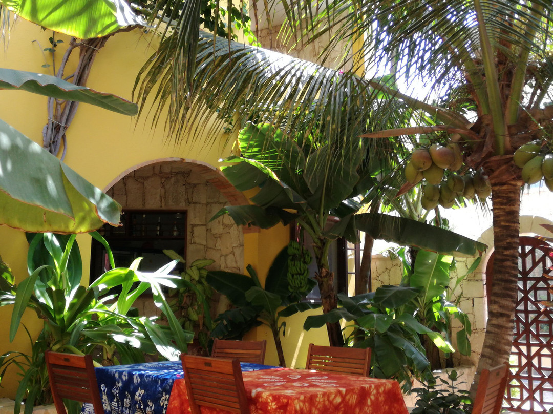 Orquidea Guest House主图