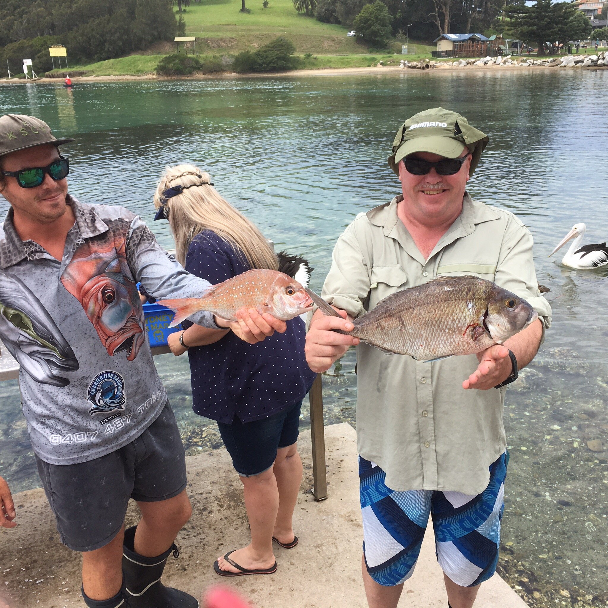 Farnboro Motel-官方