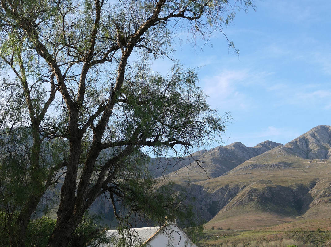 Swartberg Country Manor主图