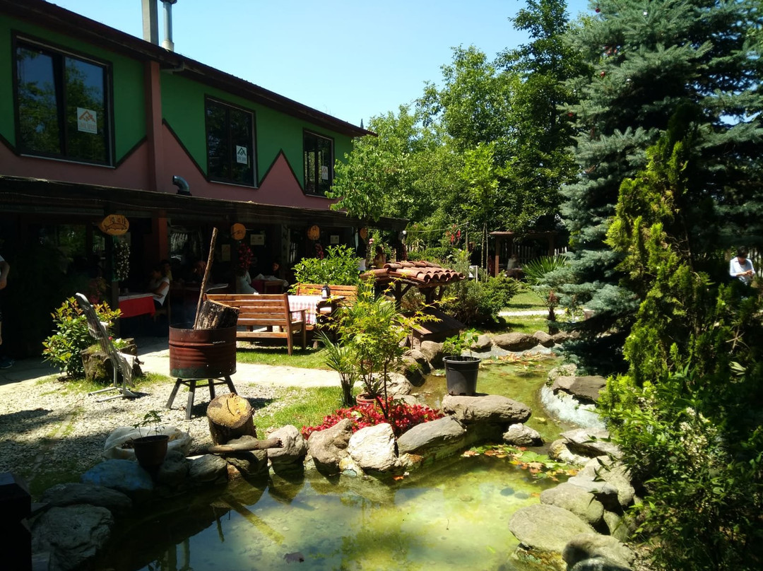 Sapanca Gonul Sofram Bungalov主图