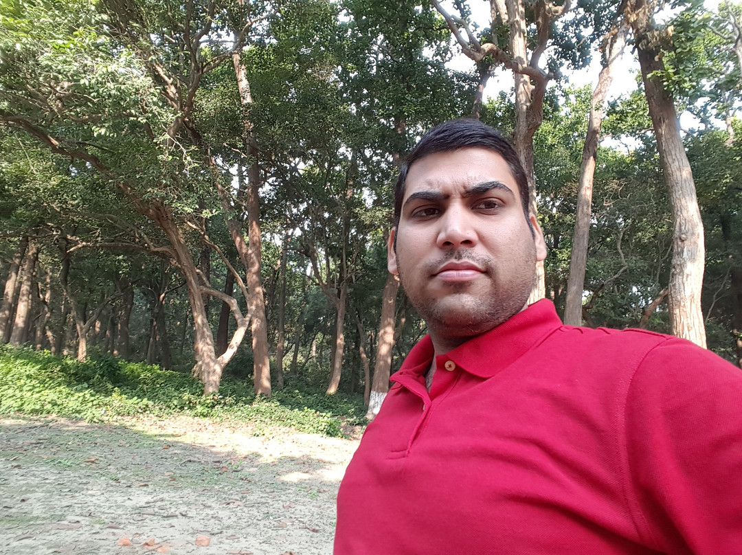 Forest Rest House Dudhwa主图