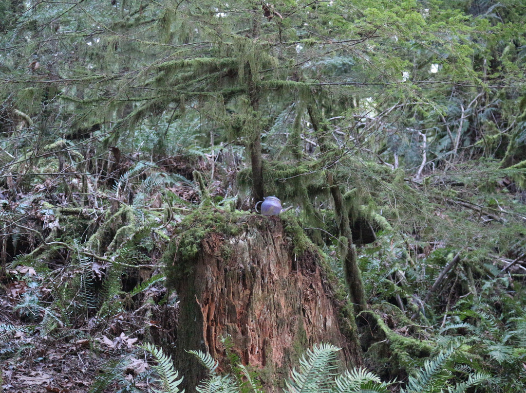 Teapot Hill-Cultus Lake必去景点