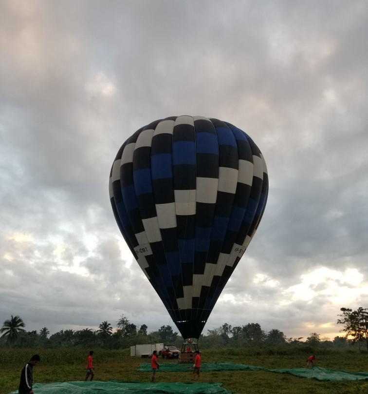 Sky's the Limit Hot Air Balloon Rides景点图片