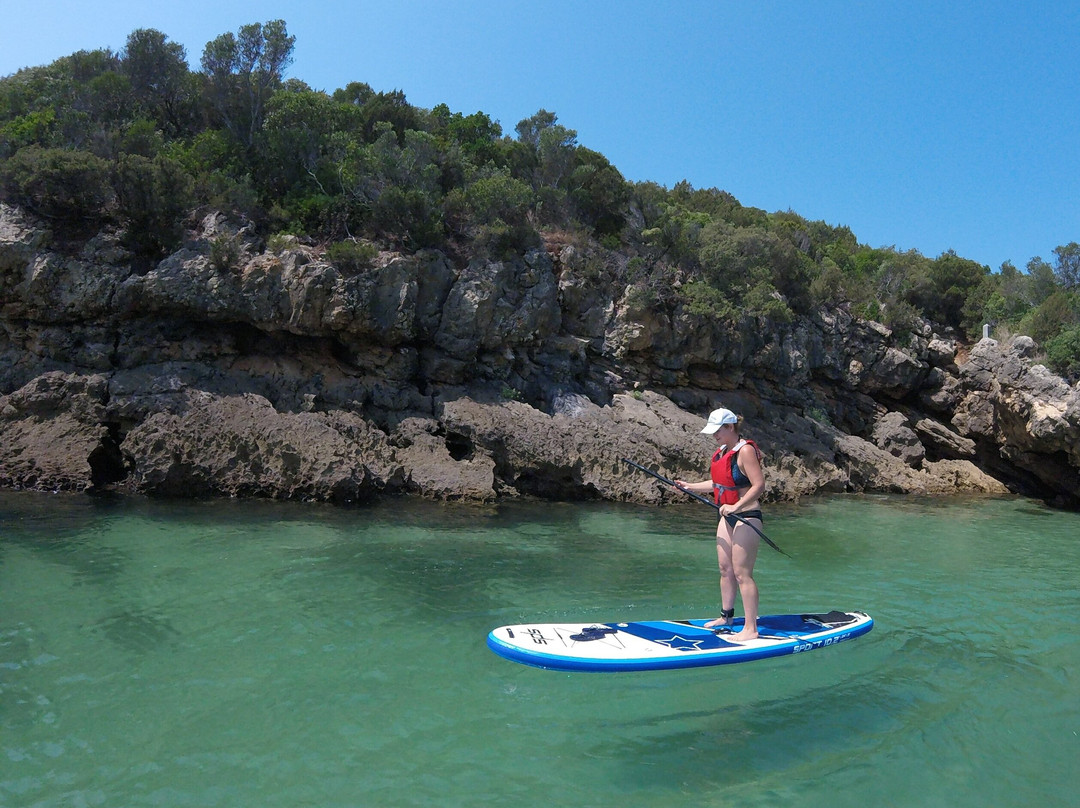 Stand Up Friend Paddle School景点图片