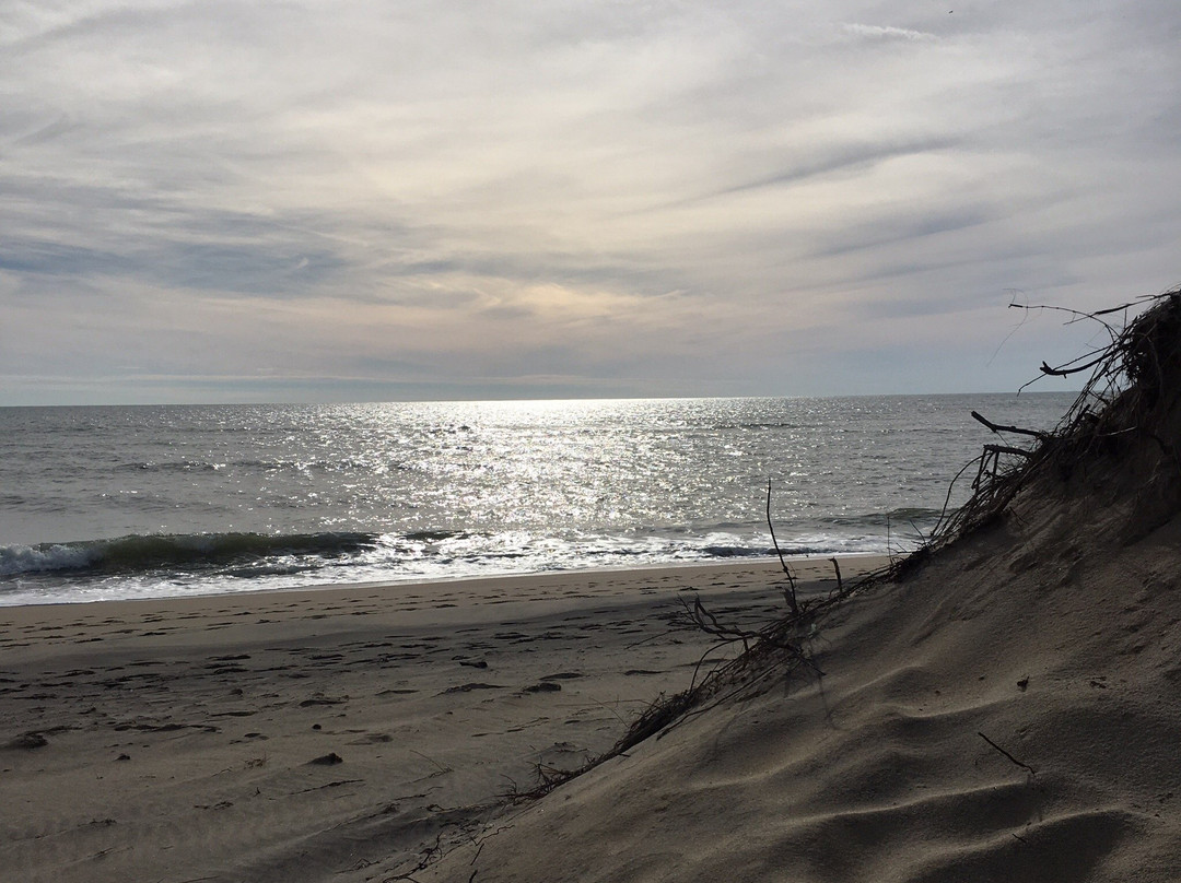 Katama Beach (South Beach)景点图片