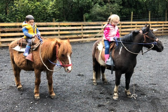 Cabalgatas Don German-普孔必去景点