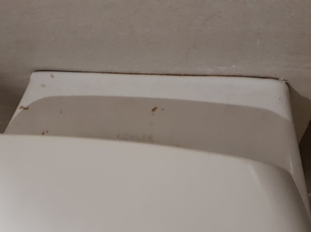 Hotel Sach Regency主图