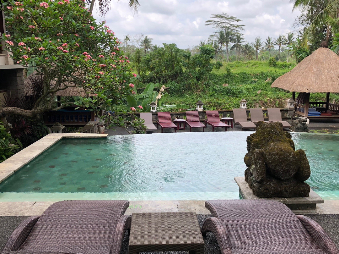 科里乌布度假村主图