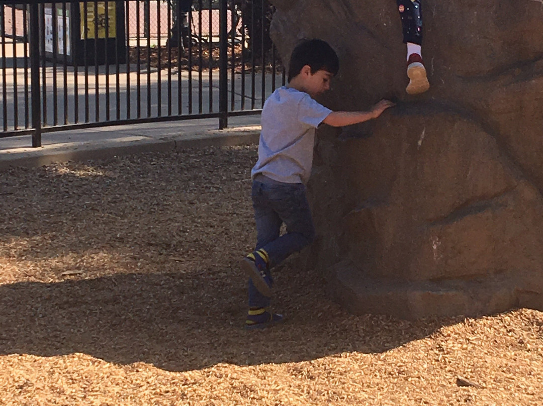 Codornices Park-伯克利必去景点