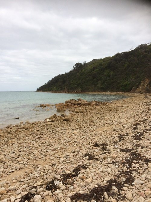 Pebble Beach景点图片