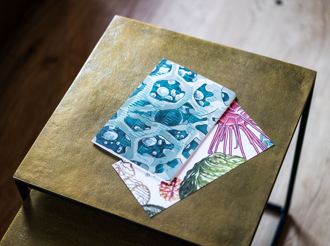 HERBARIUM Bar-哥廷根必去景点