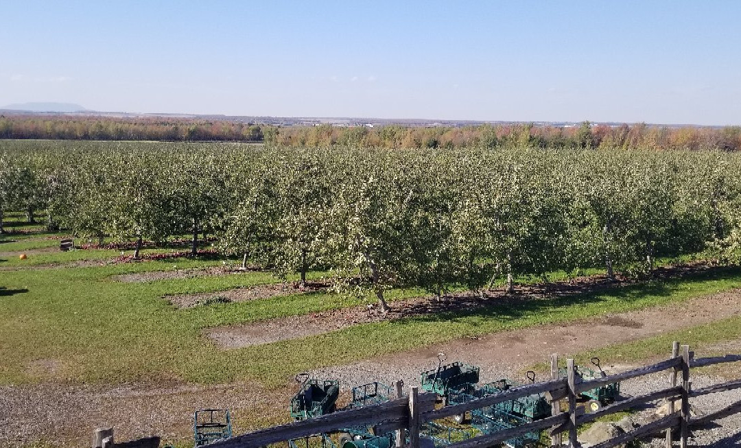 Cidrerie Milton-Sainte-Cecile-de-Milton必去景点