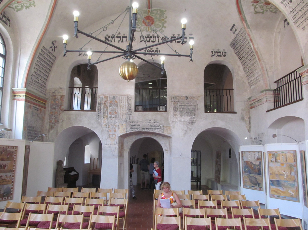 Rear Synagogue - Zadni Synagogue-特热比奇必去景点