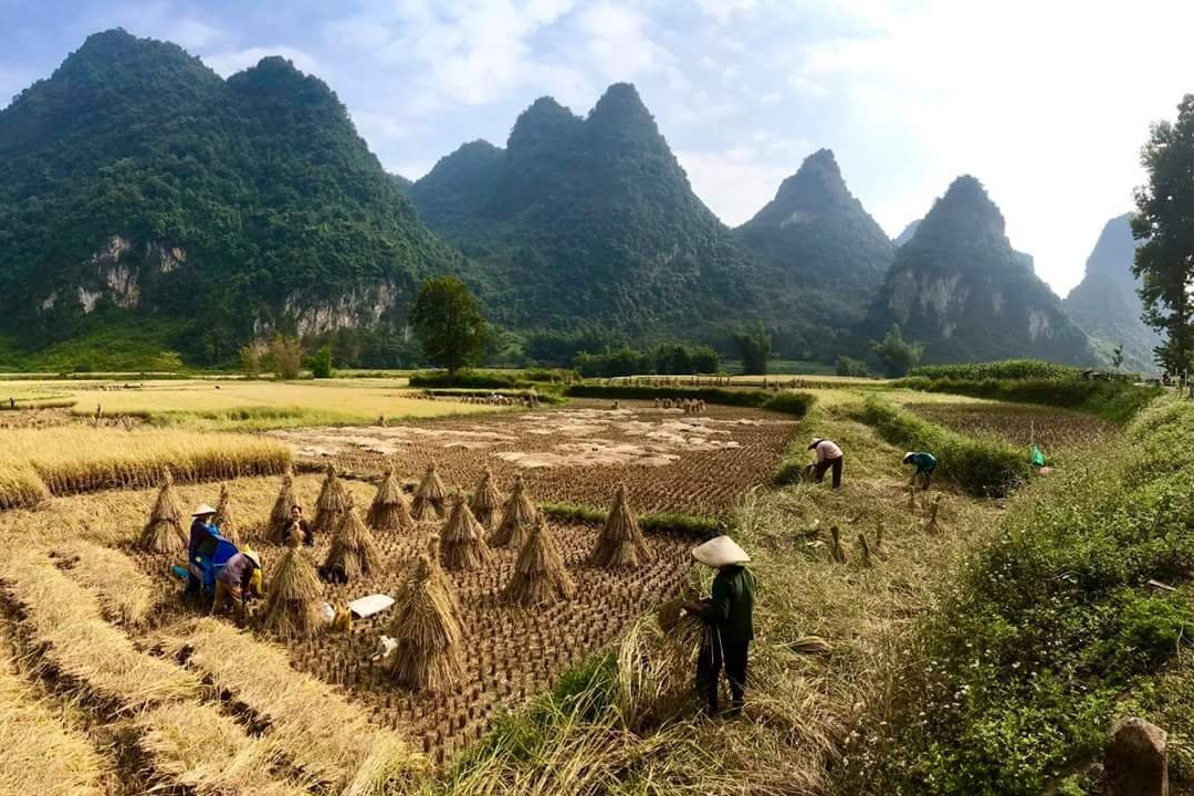 Vietnam Voyages Plus-河内必去景点