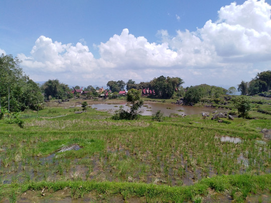 Sulawesi Culture Tour With Local-Tana Toraja必去景点