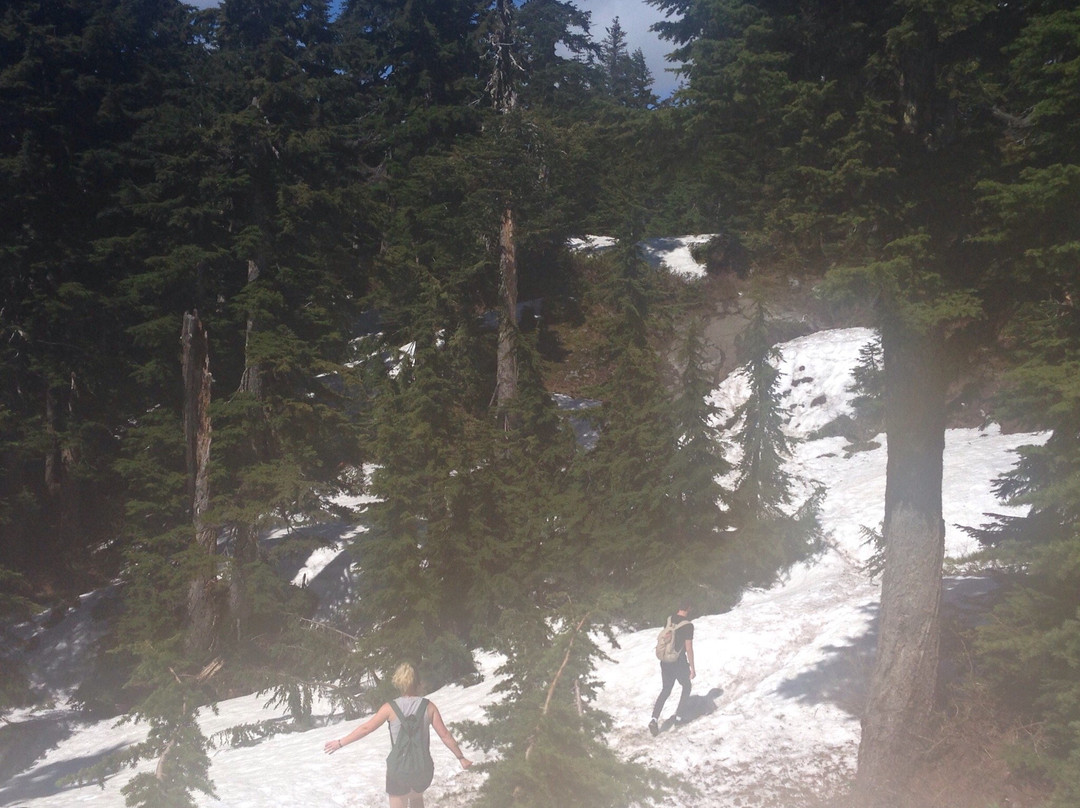 St Mark's summit-温哥华必去景点