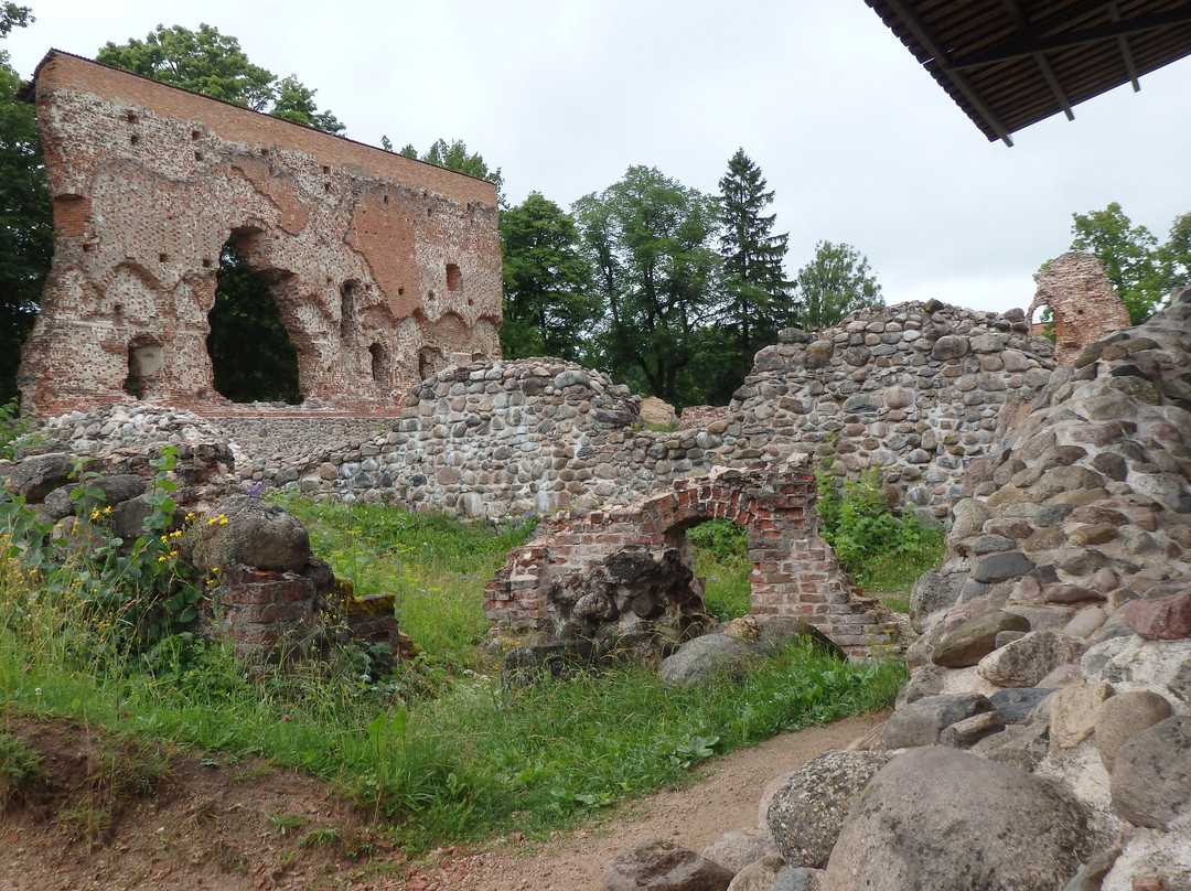 Ruins of the Viljandi Order Castle景点图片