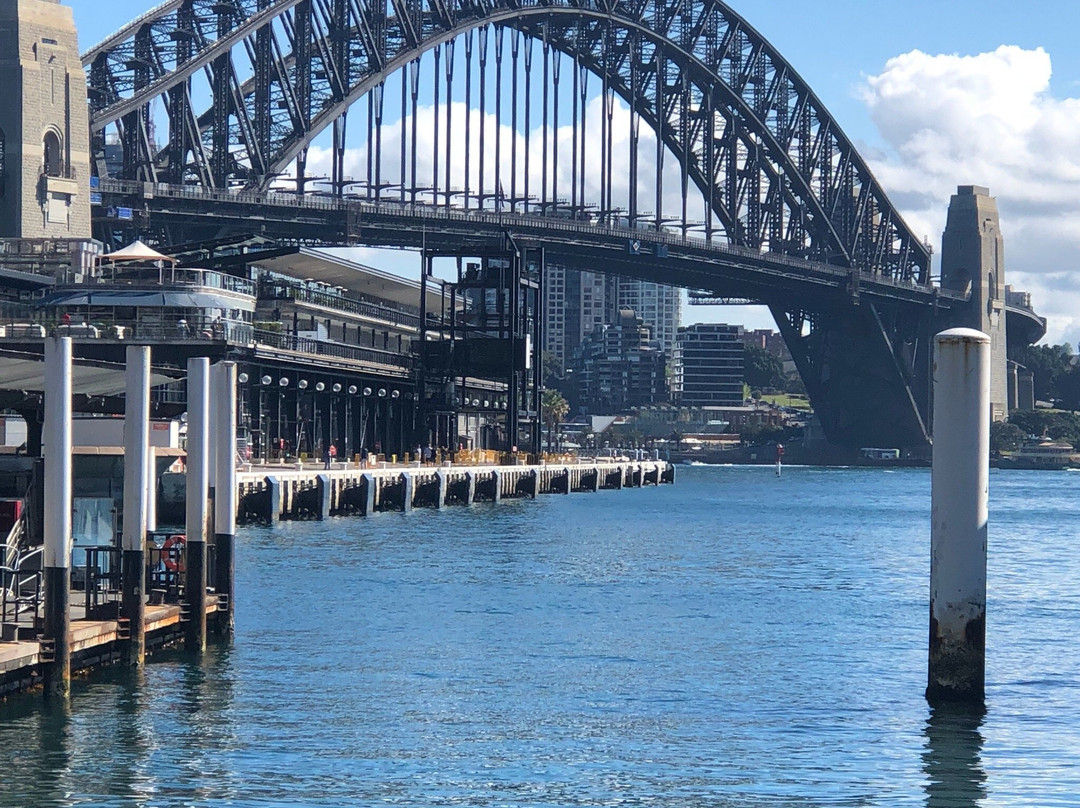 Sydney Whale Watching景点图片