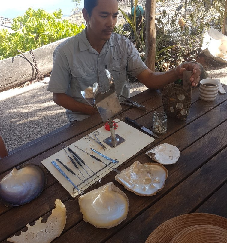 Roko Island, Cape York-Roko Island必去景点