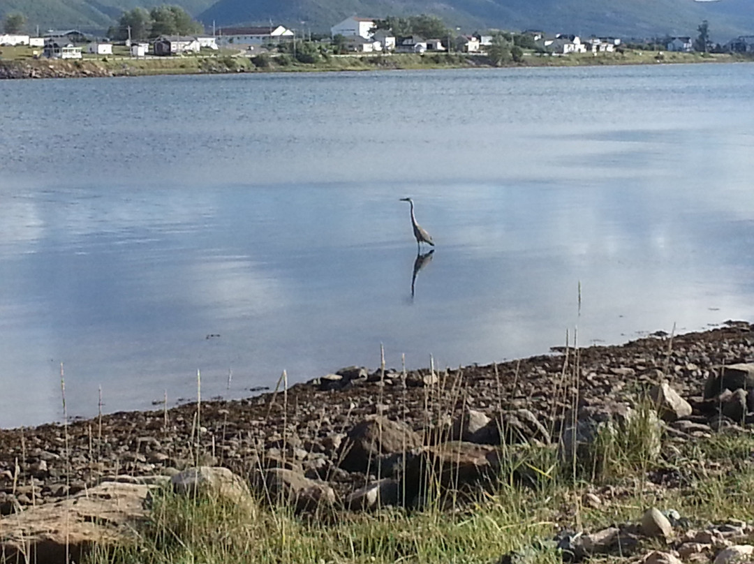 Enragee Point Lighthouse-Cheticamp必去景点