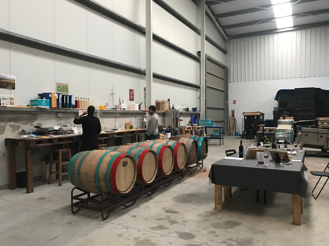 Boreal Bodega & Vinedos-San Miguel De Meruelo必去景点