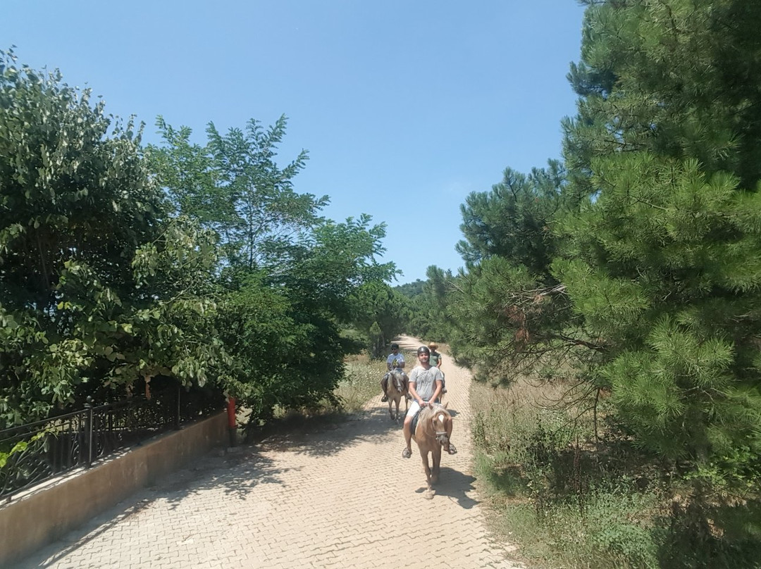 Tabiat Equestrian Center-Suekraniye必去景点