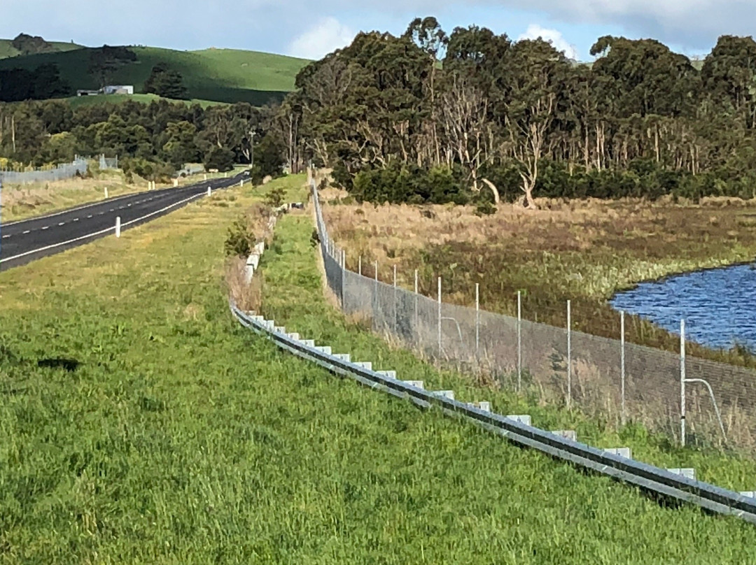 Candowie Reservoir-Almurta必去景点