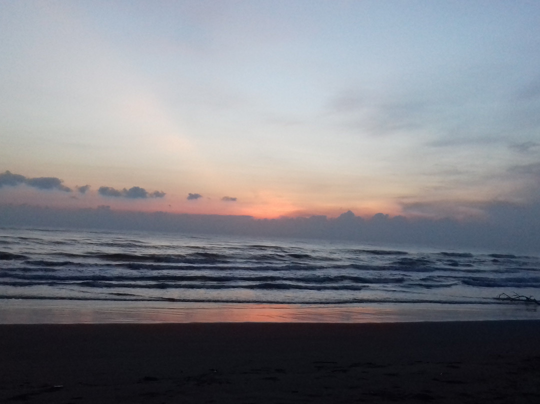 Hotel Coco Loco主图