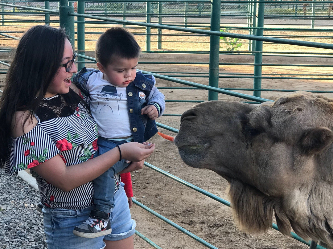 Zoologico Parque del Nino景点图片