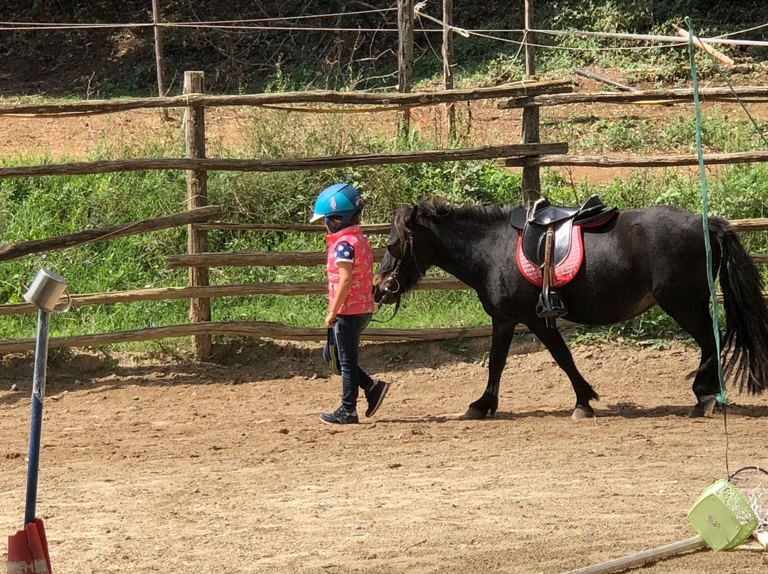 Lori Riding Centre-Manziana必去景点