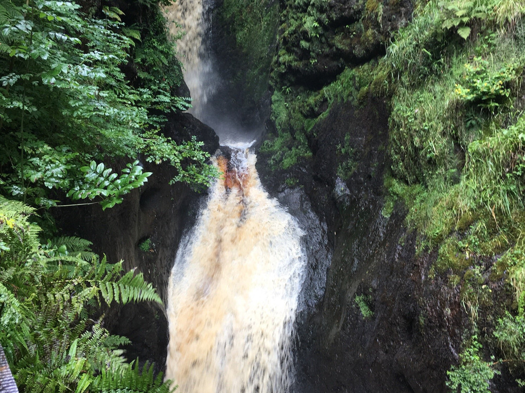 Glenariff Forest Park Caravan Park景点图片