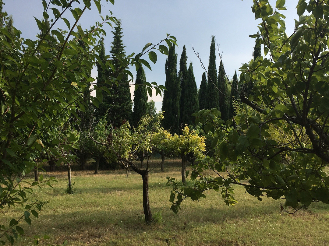 Agriturismo Le Biricoccole主图