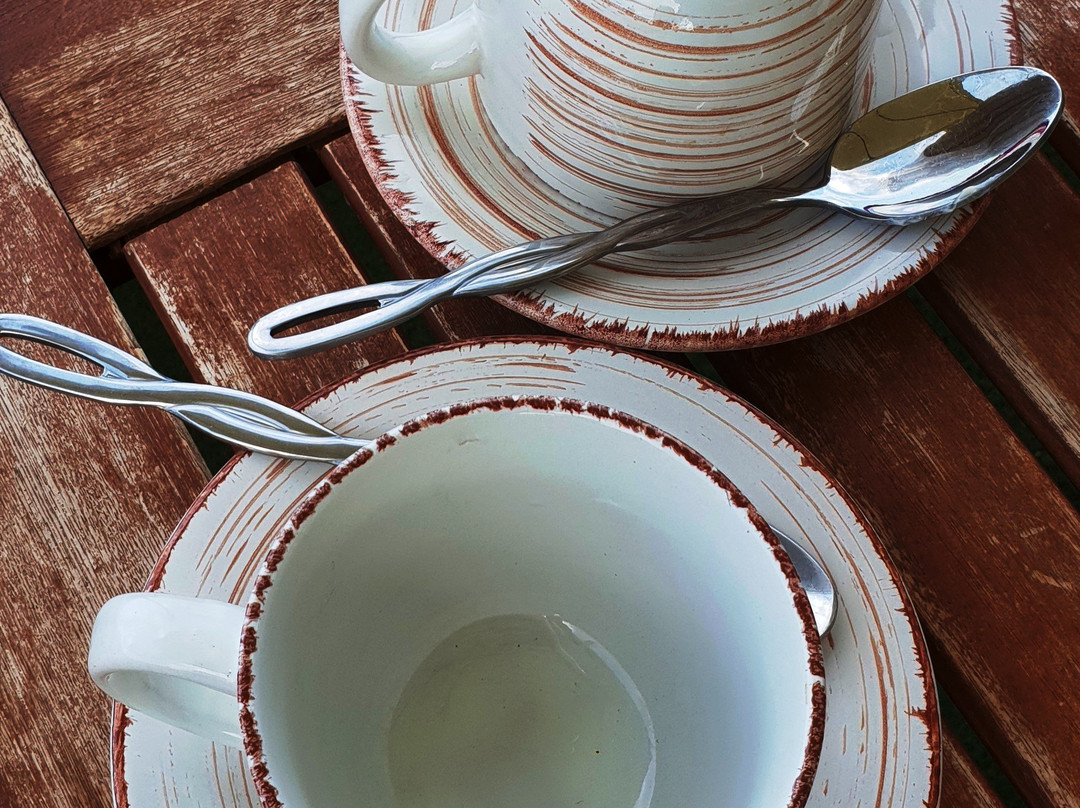 Teplodar餐馆和美食-Svicha