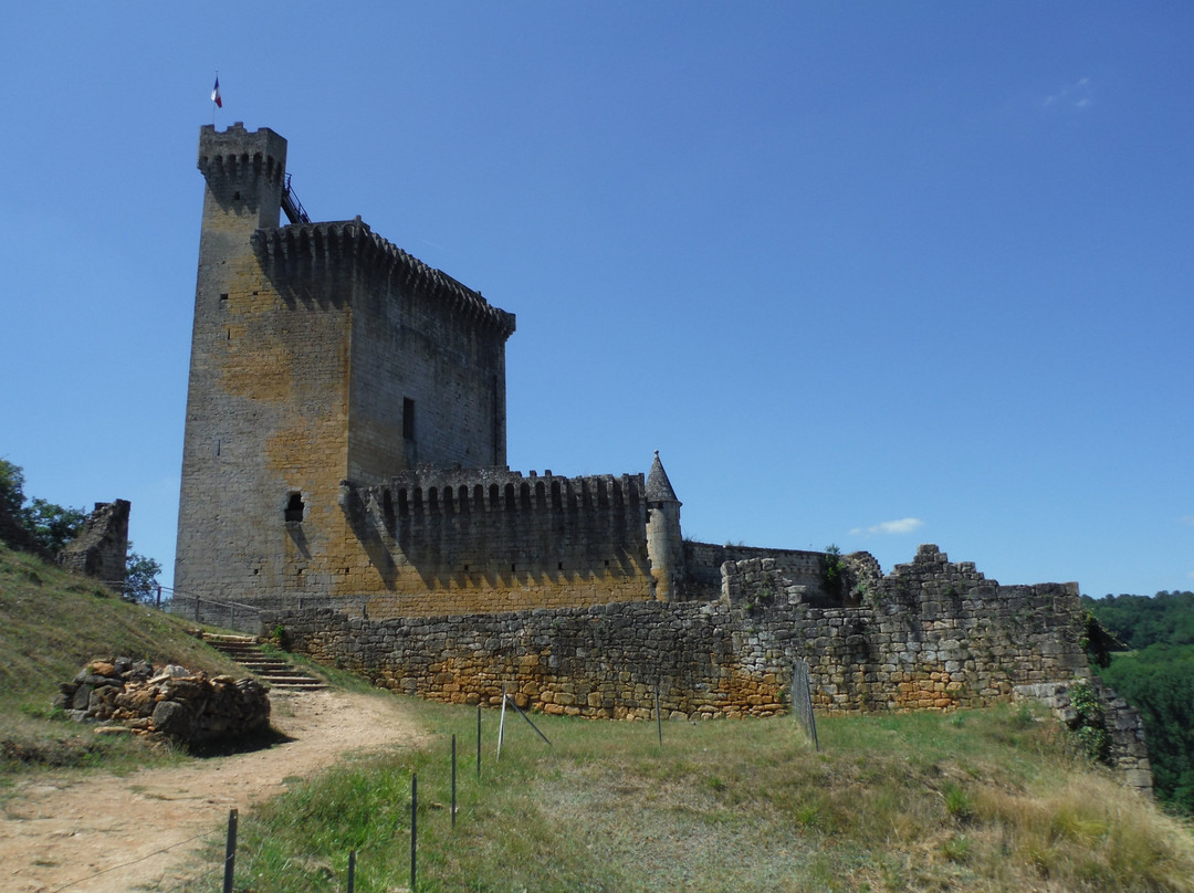 Chateau de Commarque景点图片