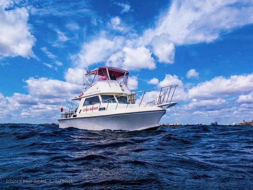 Orlando Scuba Partners-Oviedo必去景点