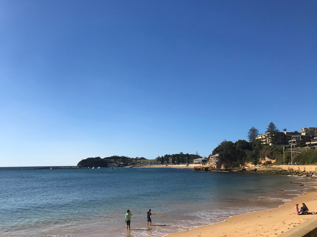 Terrigal Beach景点图片