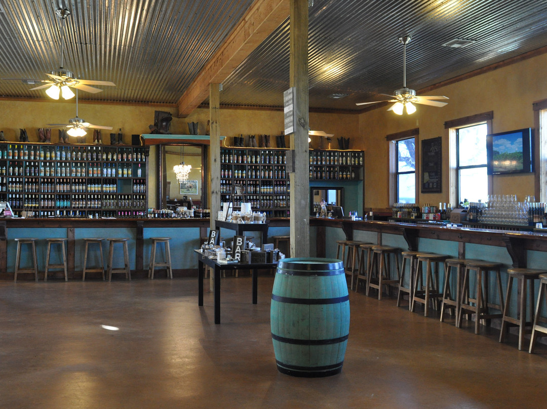 Fiesta Winery 290-弗雷德里克斯堡必去景点