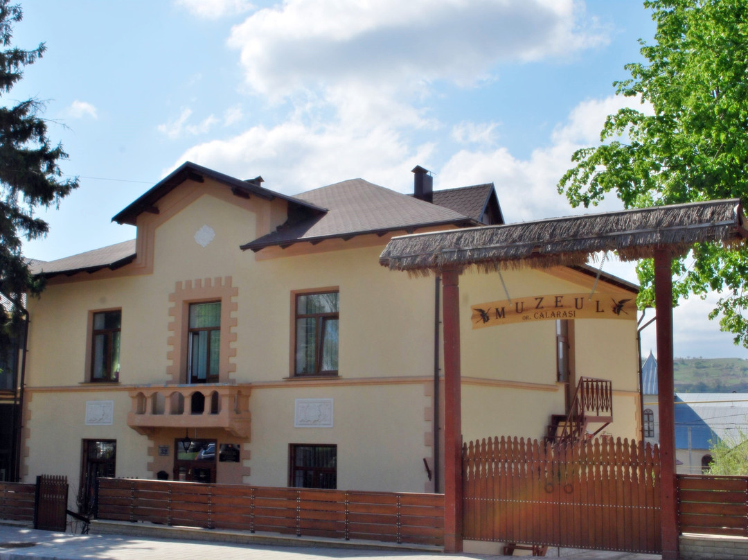 Calarasi District旅游攻略图片