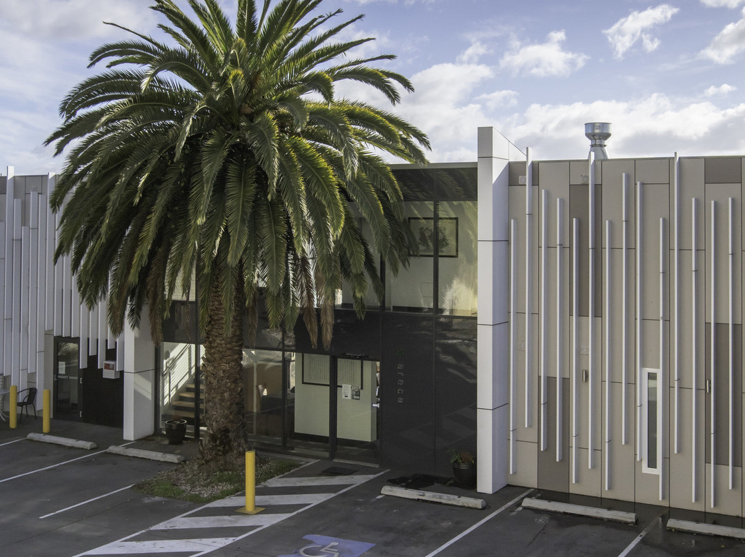 Areca Launceston主图