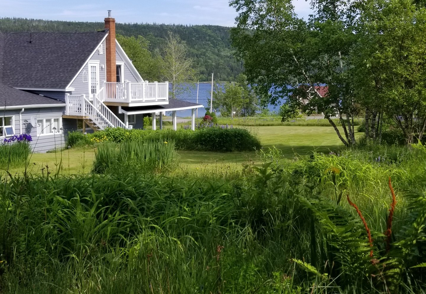 布罗德沃特小屋旅馆-酒店景观